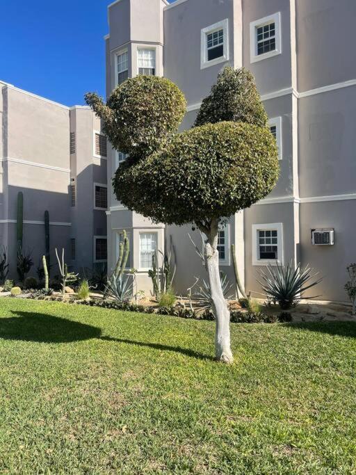 Departamento En 1Er Piso 2 Bdr 2Bath Tezal Apartamento Cabo San Lucas Exterior foto